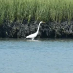 gallery-4-v2_gallery-4-v2_image8-1 (1)